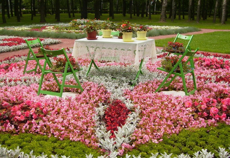 Разноцветная клумба