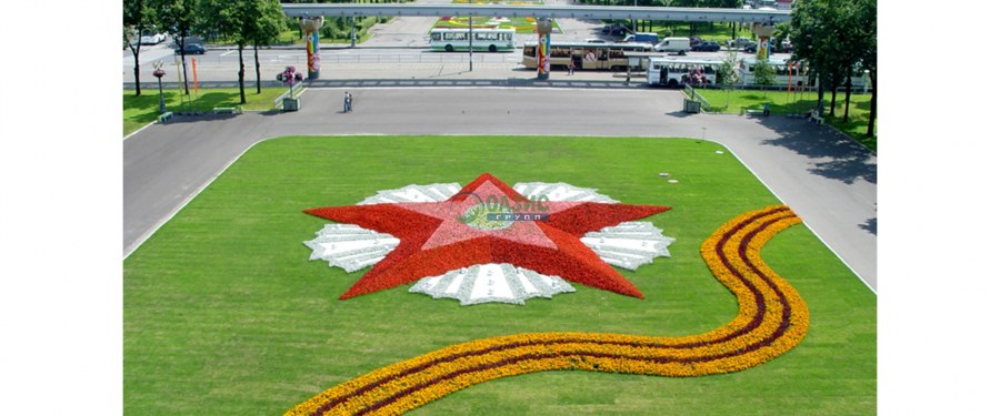 Клумба к 9 мая