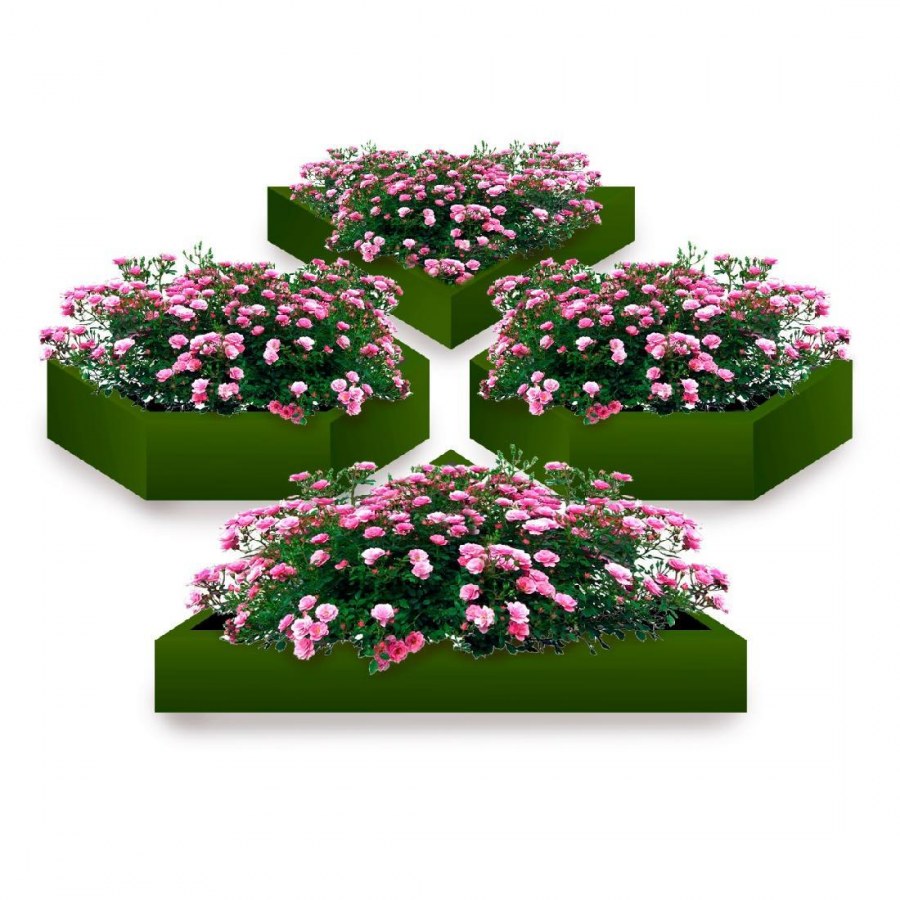 Цветники ко Дню Победы