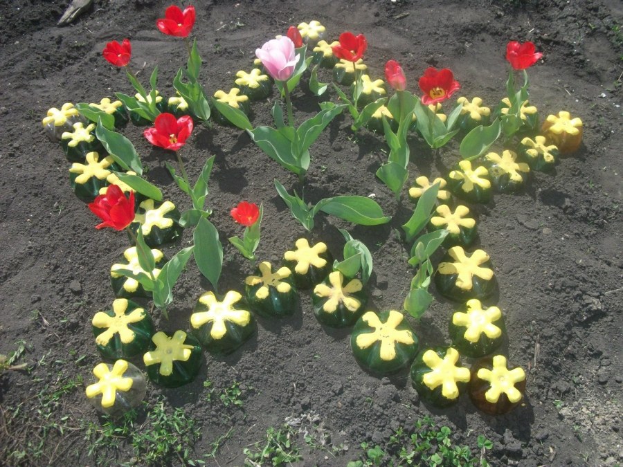 Клумба в форме звезды