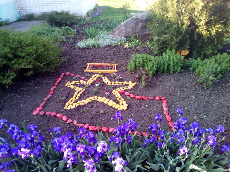 Фокинский район клумба