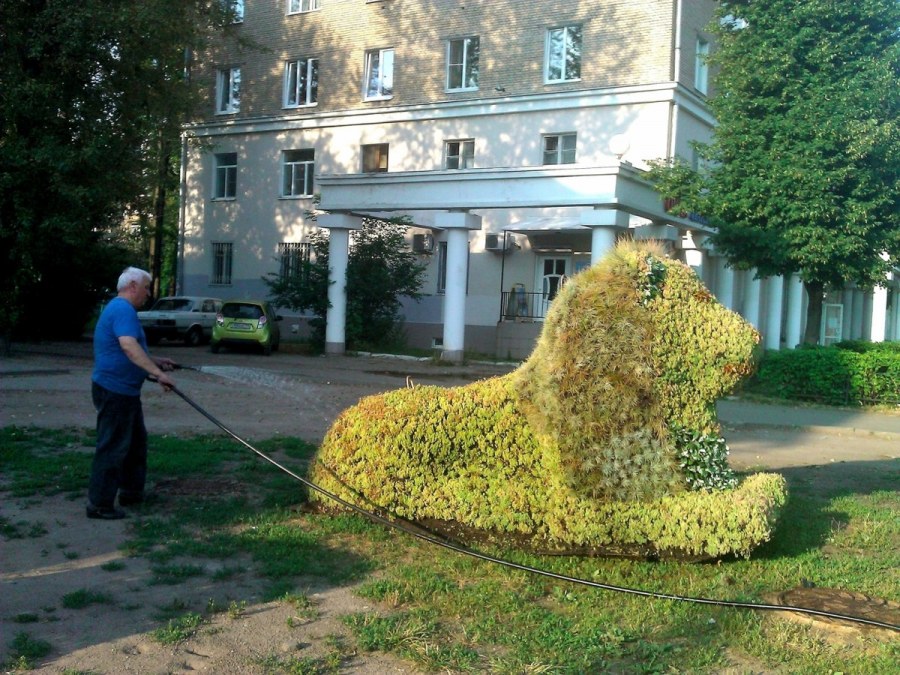 Клумбы Киров