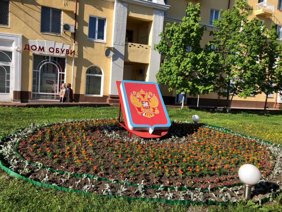 Тюльпаны в цветнике Пятигорск