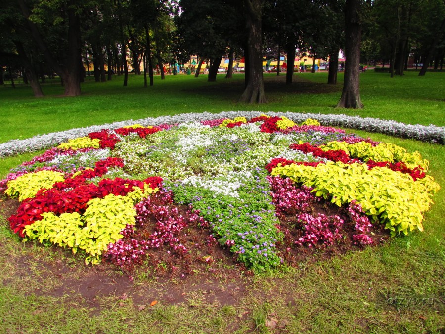 Клумбы в городе