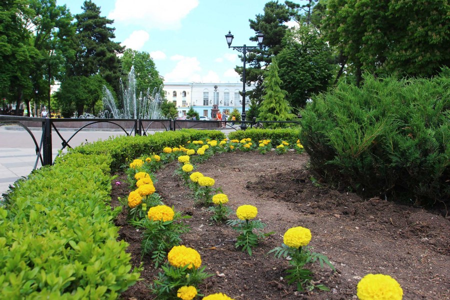 Солнечные часы из цветов