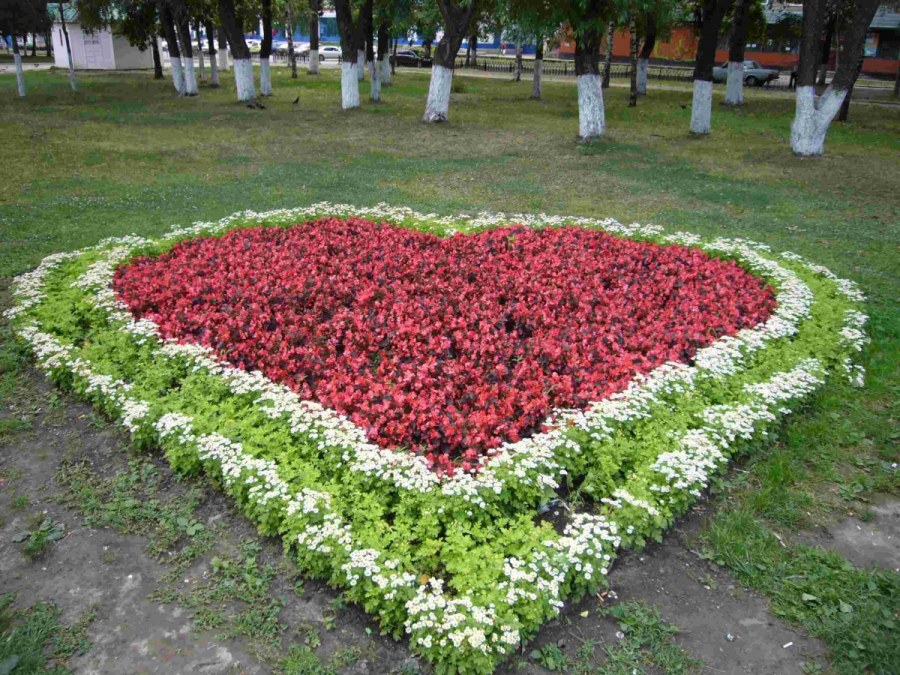 Клумба книга Екатеринбург