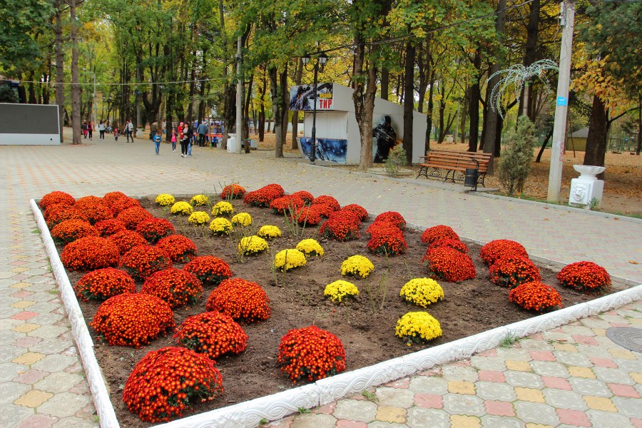 Цветники Тюмени