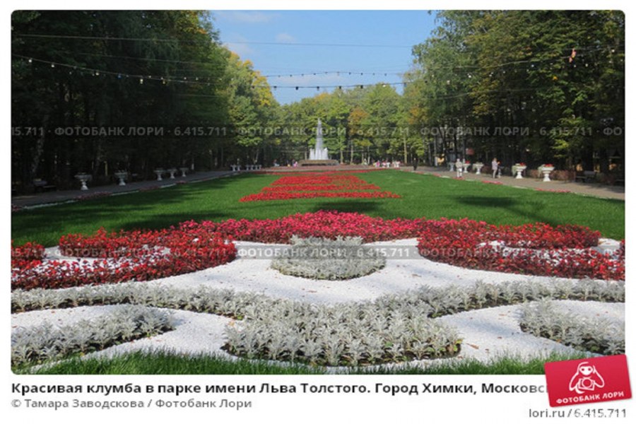 Школьная клумба