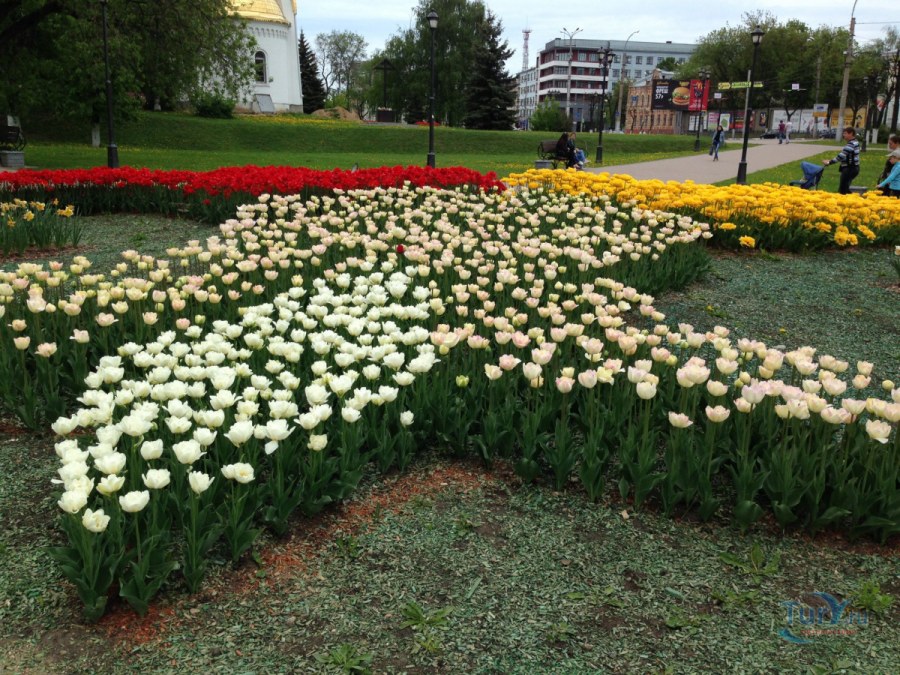 Озеленение Челябинск