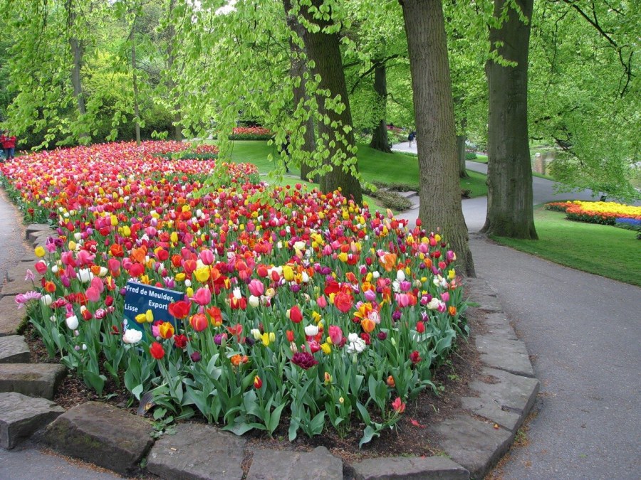 Клумба парк Победы Крестовский