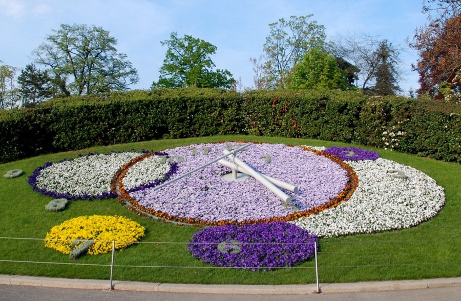 Клумбы к юбилею города