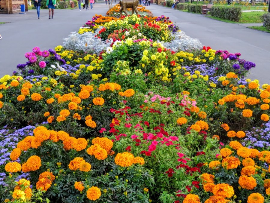 Цветник любви