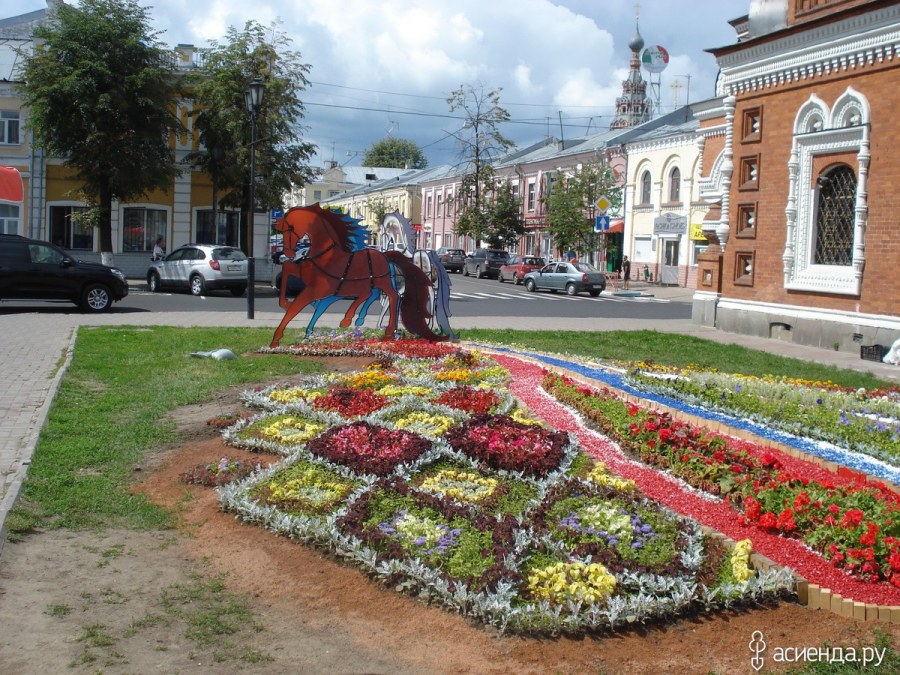 Цифры из цветов на клумбе