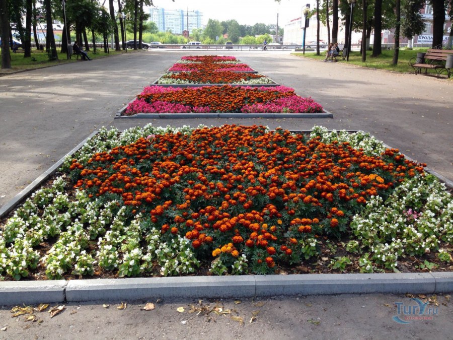 Воронецкий парк Симферополь цветники