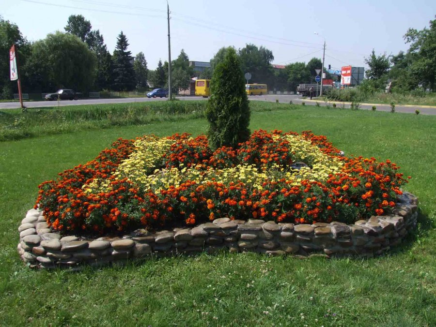 Сад цветник Анапа