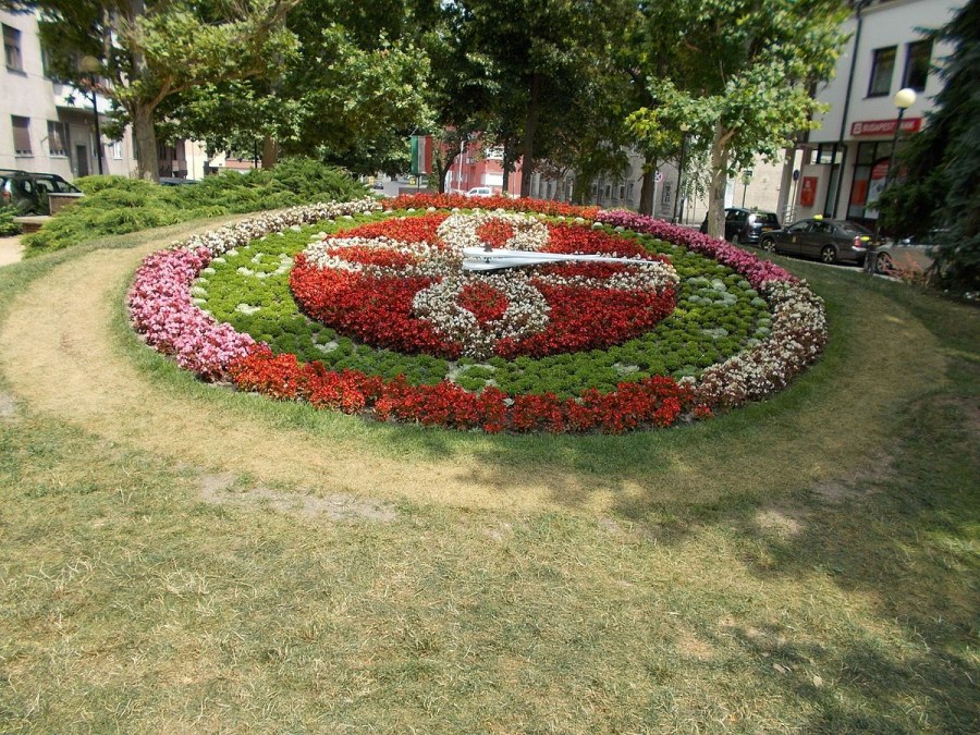 Химки красивые фото