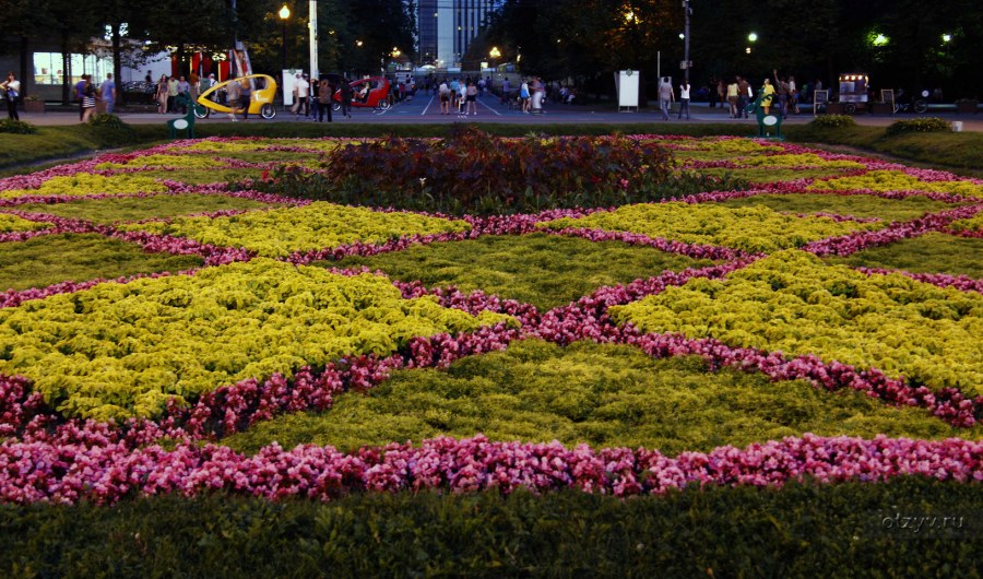 Фокинский район клумба