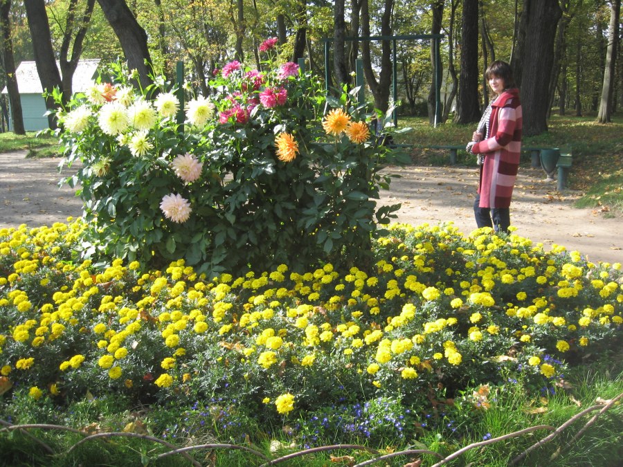 Конкурс цветники