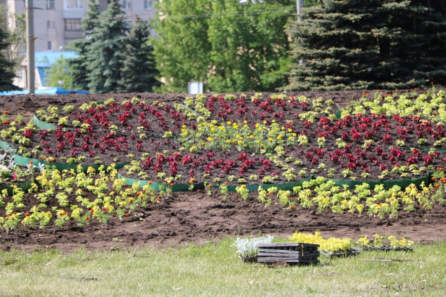 Почва для цветника