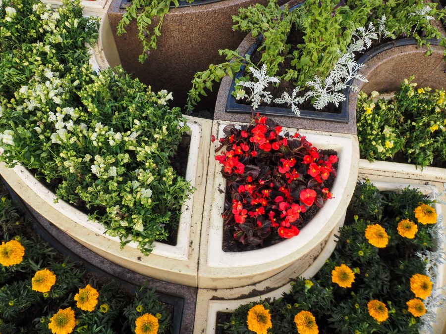 Клумбы в городе Азове