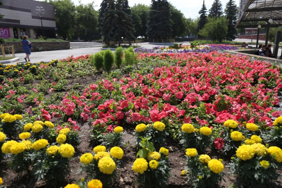 Клумба платье