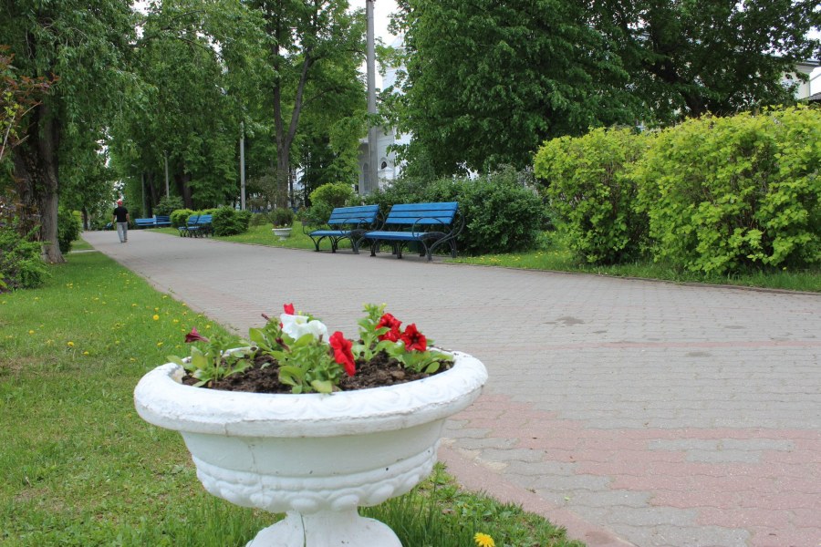 Украшали клумбы картошкой