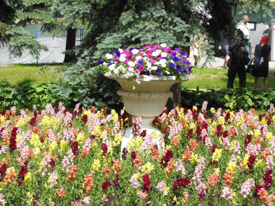 Розарий в Сокольниках