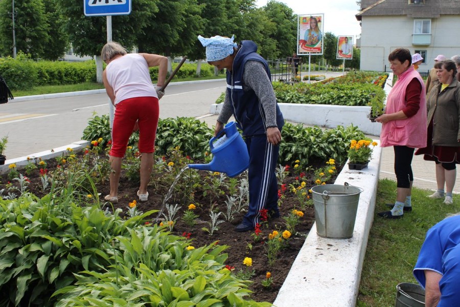 Цветочные клумбы в Раменском