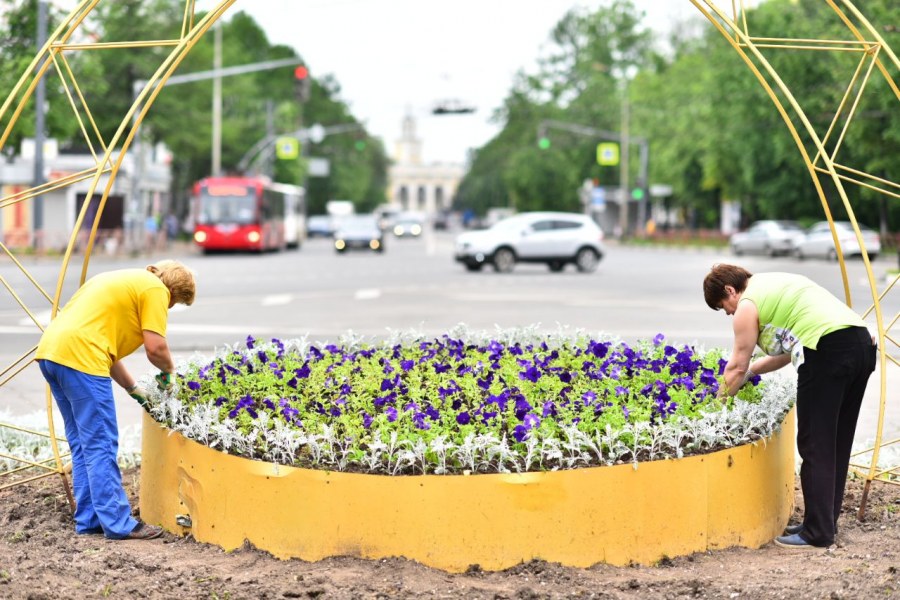 Пустая клумба