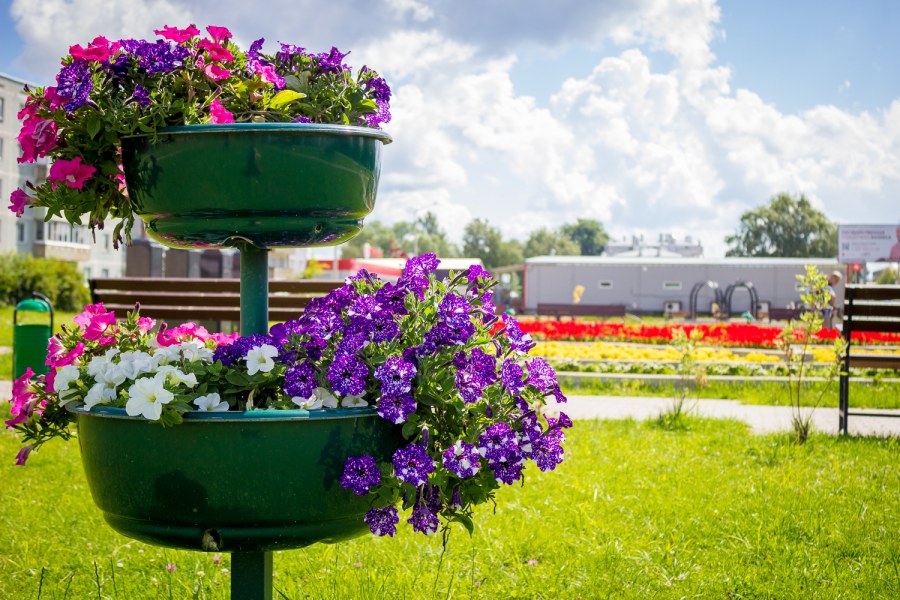 Клумбы Чебоксары