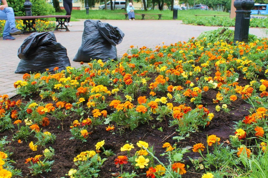 Озеленение мемориалов