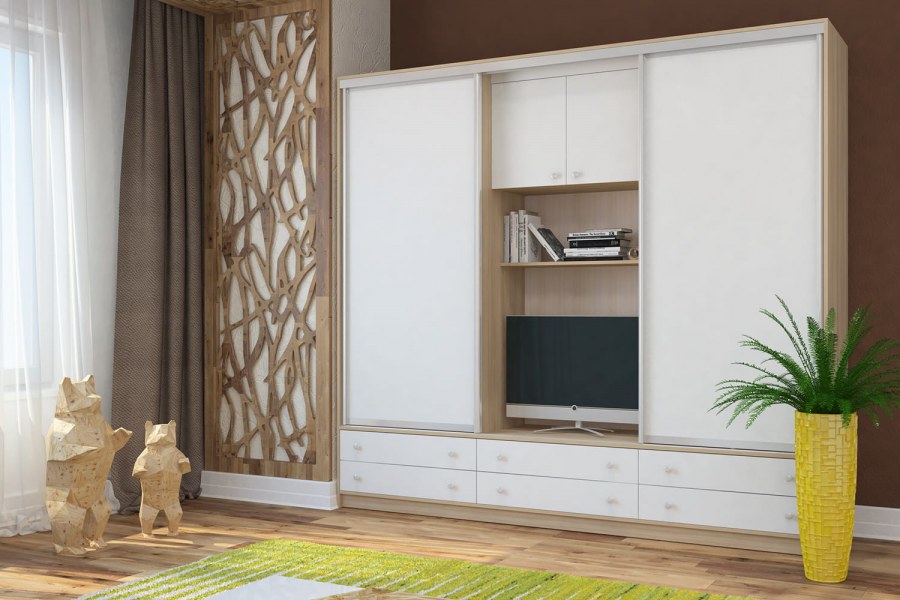 Шкаф купе Галина BMS