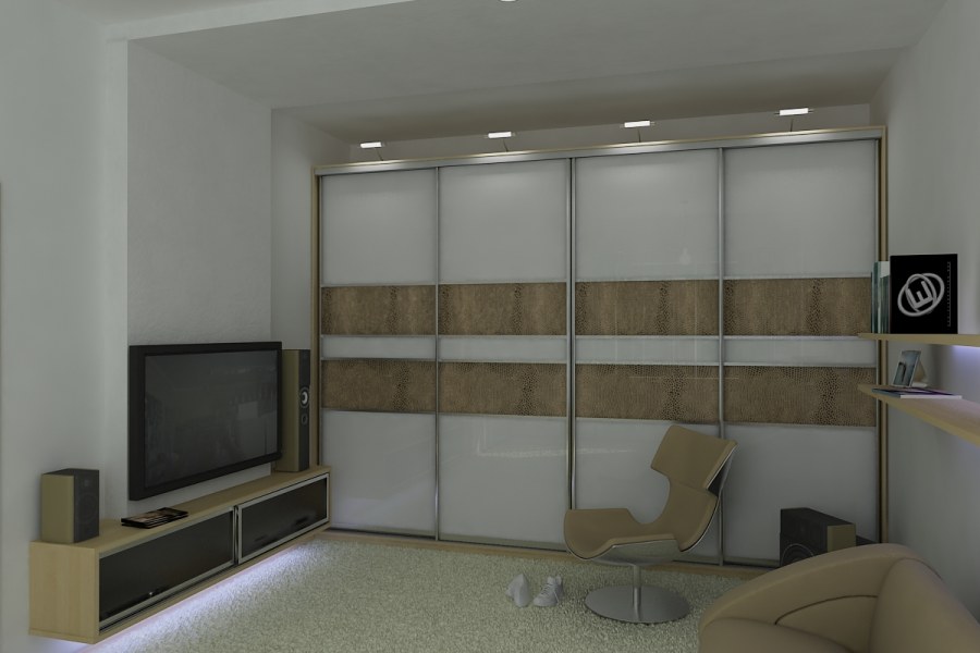 Встроенные шкафы в зал