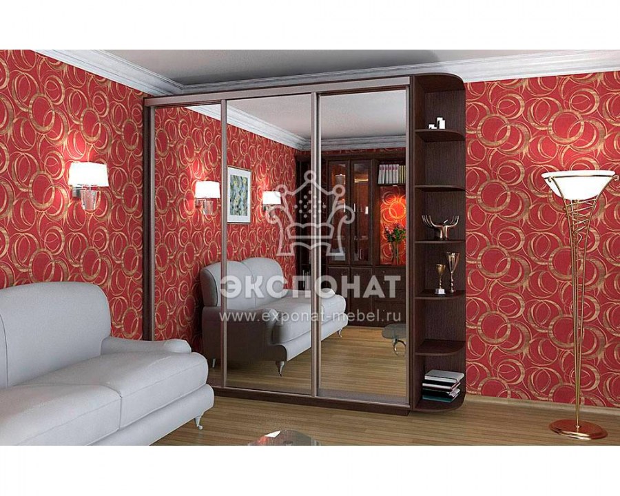 Шкаф купе Экспенс трио е1