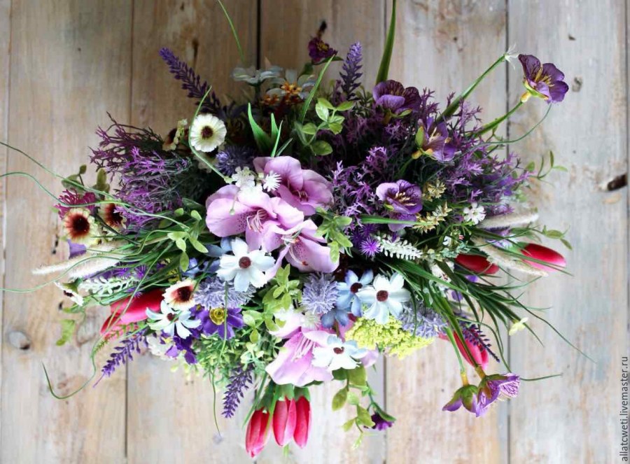 Пионы Прованс