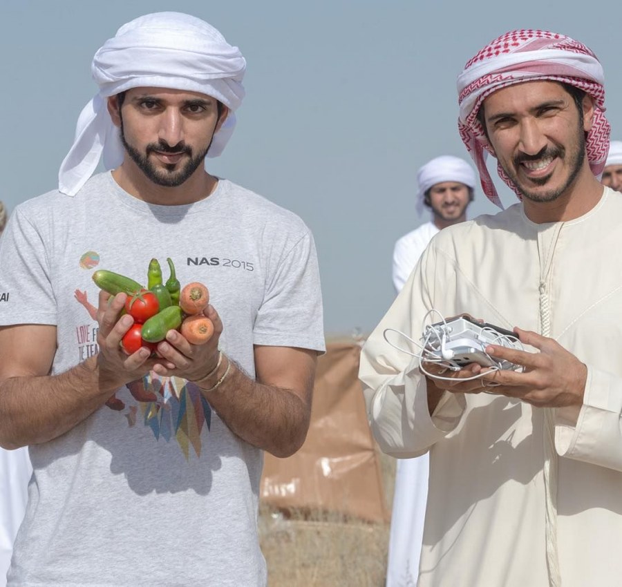 Шейх Хамдан братья