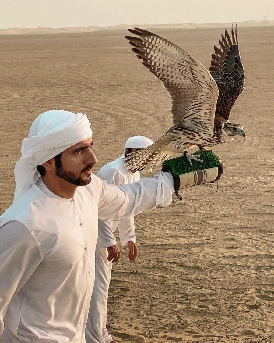 Хамдан ибн Мохаммед Аль-Мактум Шейх Соколиная охота