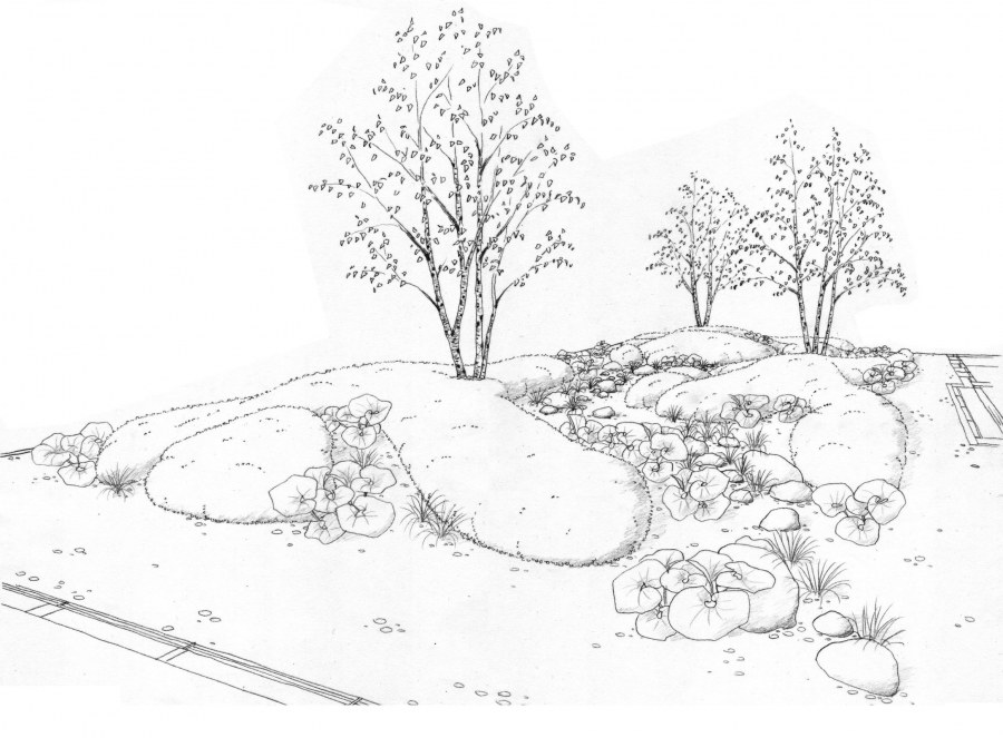 Ландшафт сада карандашом