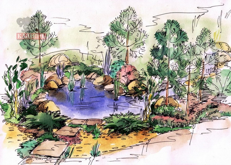 Эскизы водоемов в ландшафтном проектировании