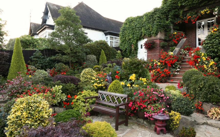 Гарден сад Garden Sad