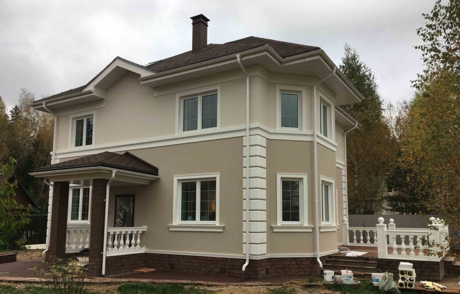 Серый короед фасад