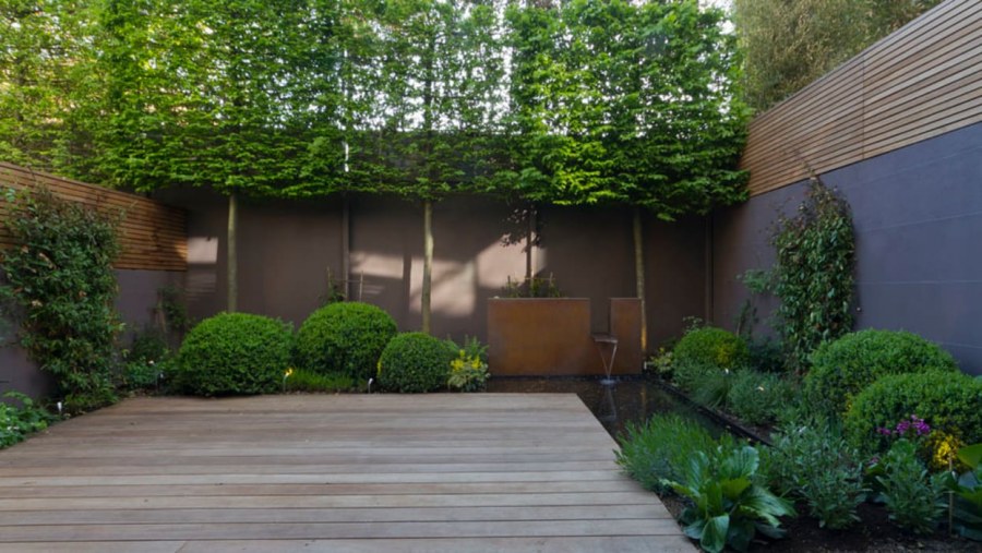 Сад между домом и забором