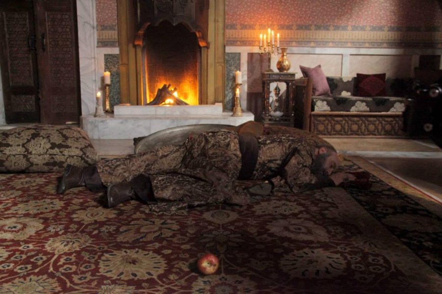 Камины великолепный век