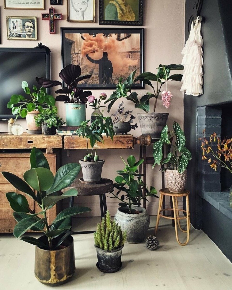 Цветы в интерьере