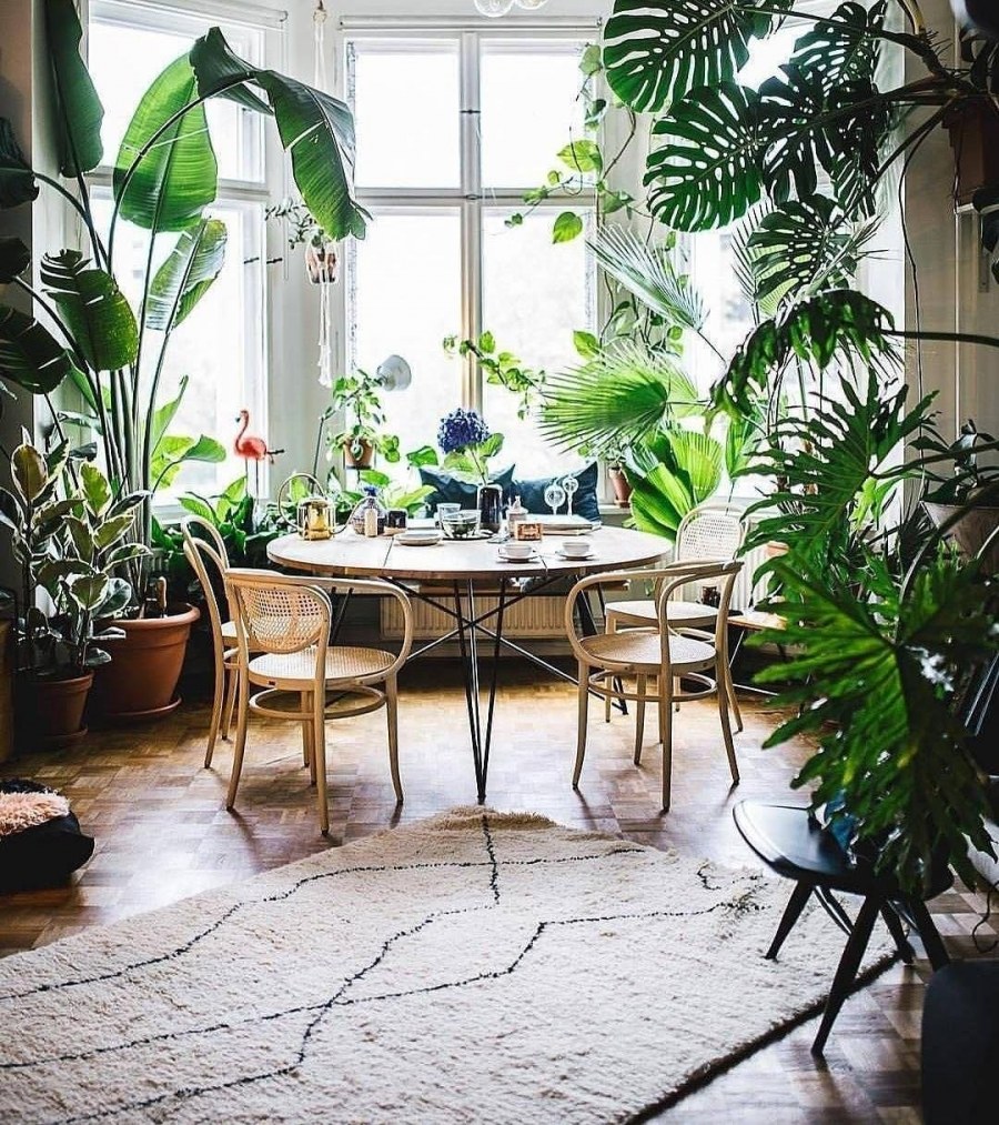 Гостиная с зимним садом