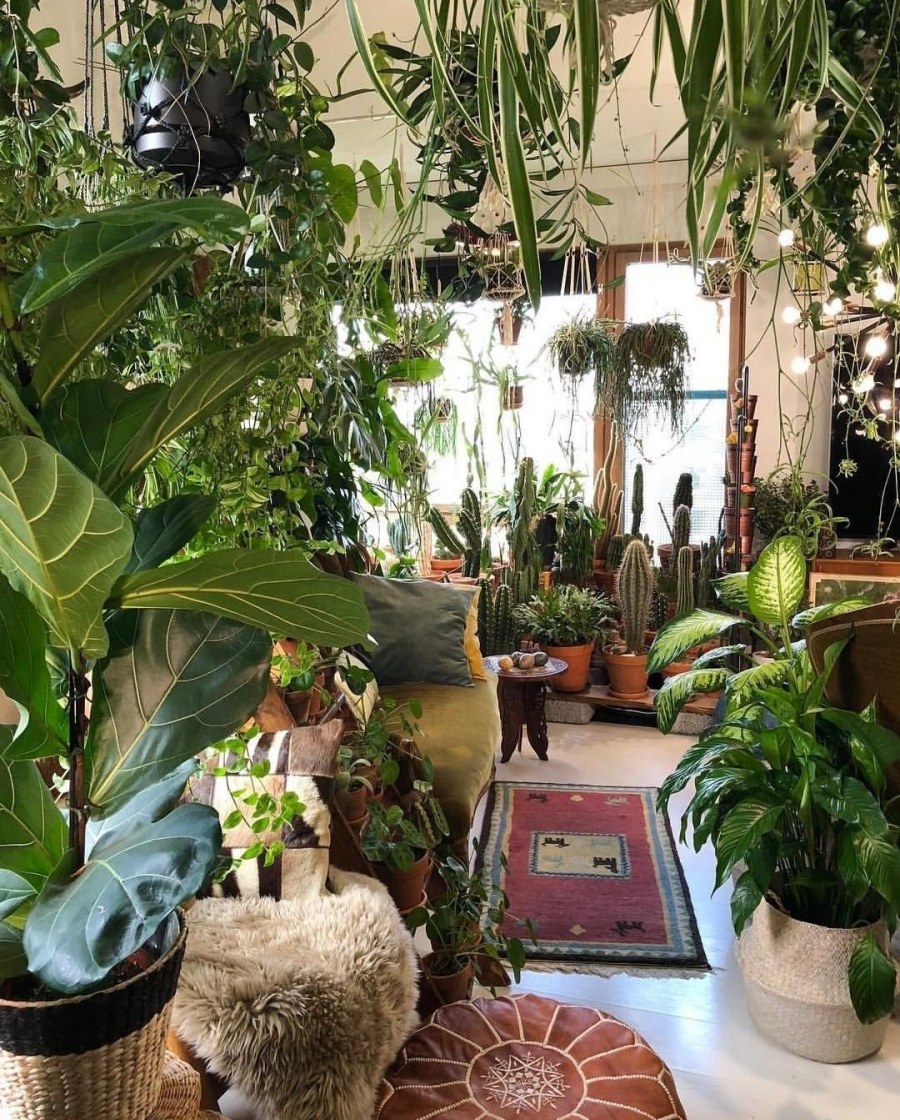 Цветы в интерьере