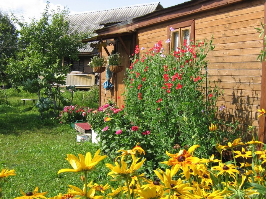 Тик ток дача моя дача