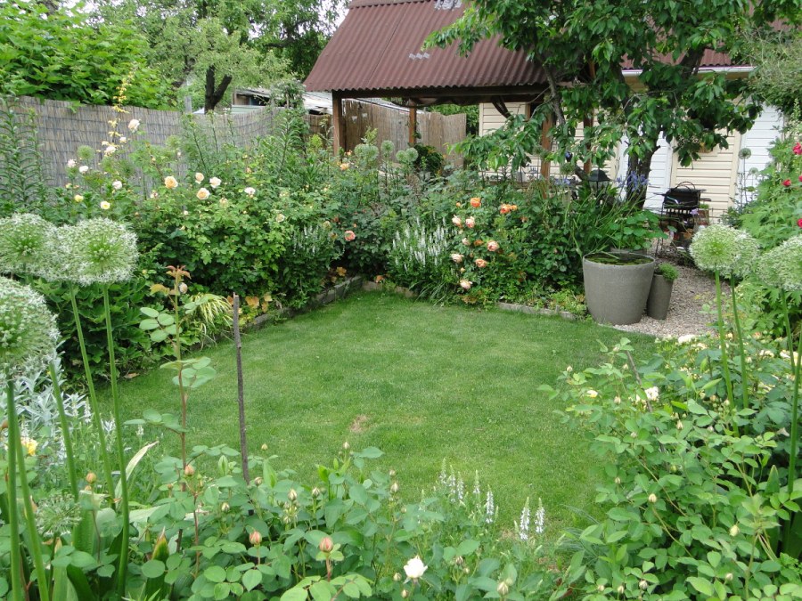 Сад на даче 6 соток