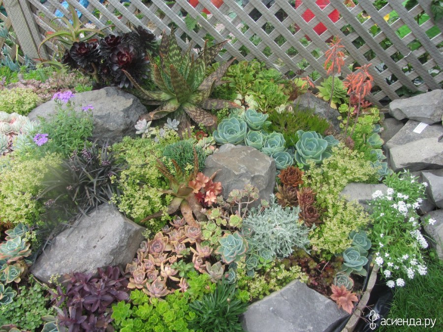 Альпийская горка в ДОУ на участке