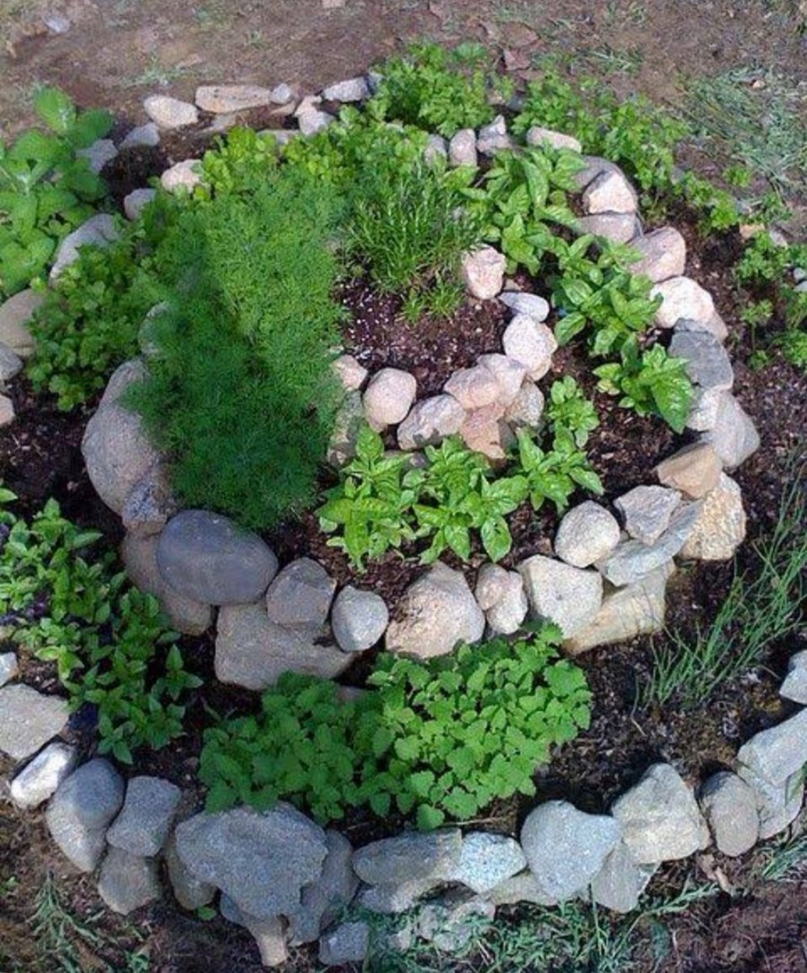 Альпийская горка горка Галичья